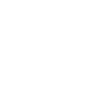 Smileview Camera